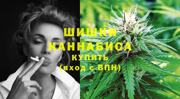 стаф Заволжск
