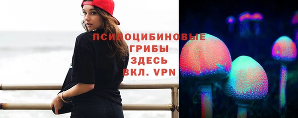 apvp Заводоуковск
