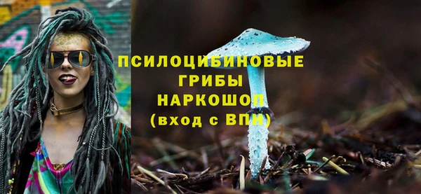 стаф Заволжск