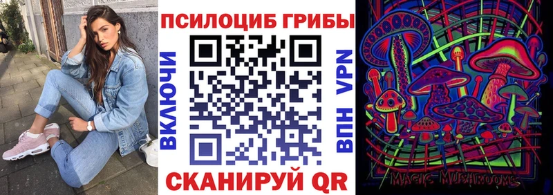 Псилоцибиновые грибы прущие грибы  Купить где  Северская 
